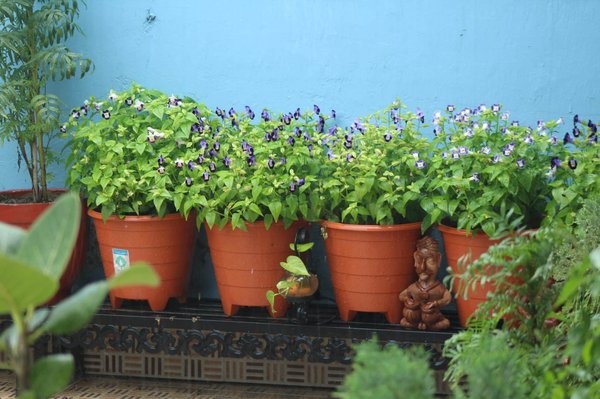 Comment décorer votre maison ?