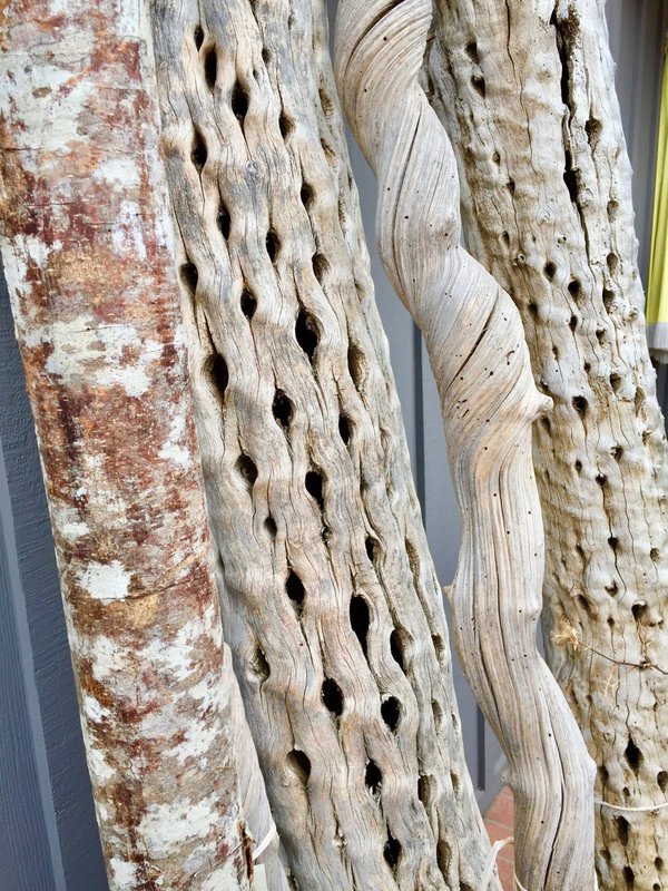 Découvrir les origines du bois flotté et son impact dans la décoration contemporaine