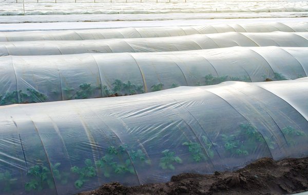 Le tunnel de stockage : l'essentiel à connaitre