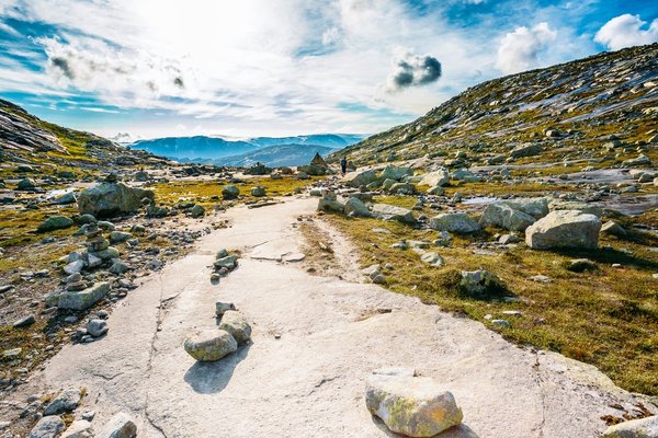 idées originales pour créer une déco scandinave dans votre cuisine