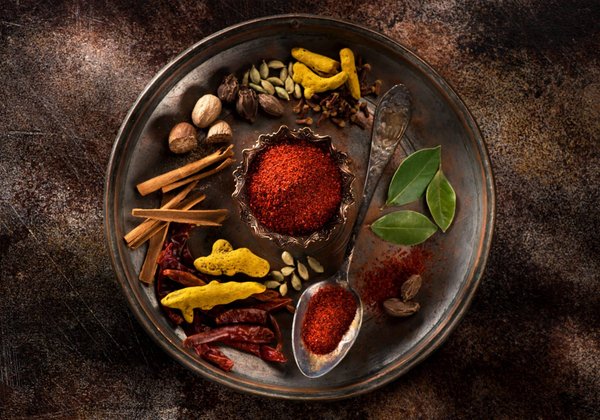 Comment choisir le bon agent immobilier pour vendre ma maison ?