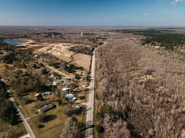 Comment cultiver des champignons comestibles en extérieur pour les débutants ?